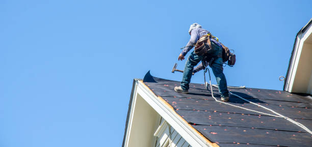 Roof Gutter Cleaning in Bolivar, MO